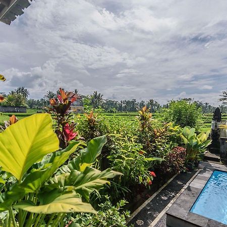 Pondok Anastasia Ubud Exteriör bild