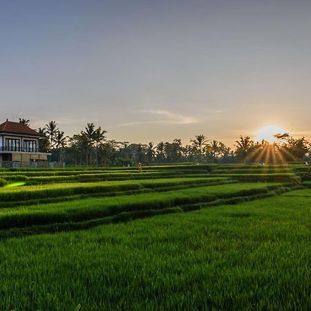 Pondok Anastasia Ubud Exteriör bild
