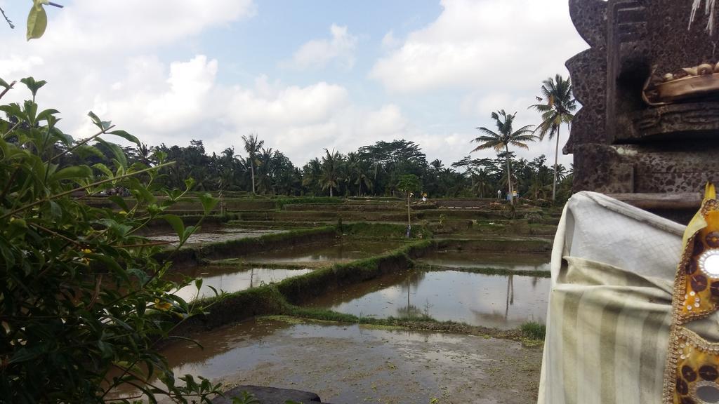 Pondok Anastasia Ubud Exteriör bild