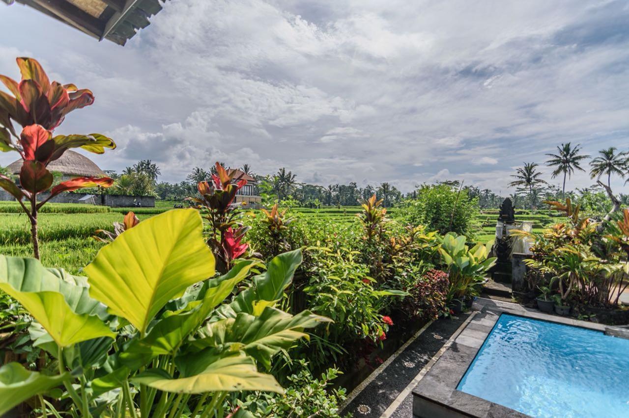 Pondok Anastasia Ubud Exteriör bild