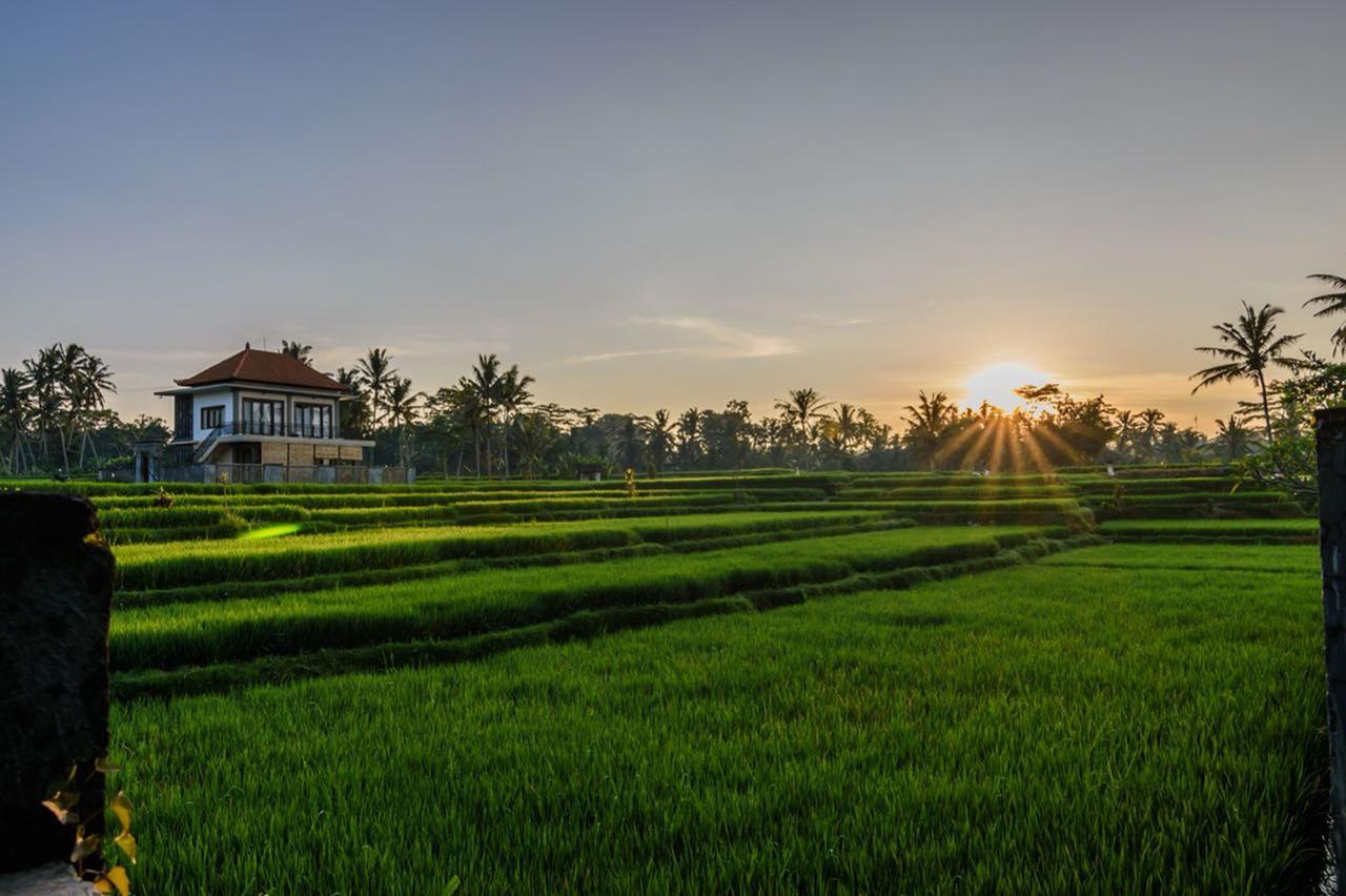 Pondok Anastasia Ubud Exteriör bild