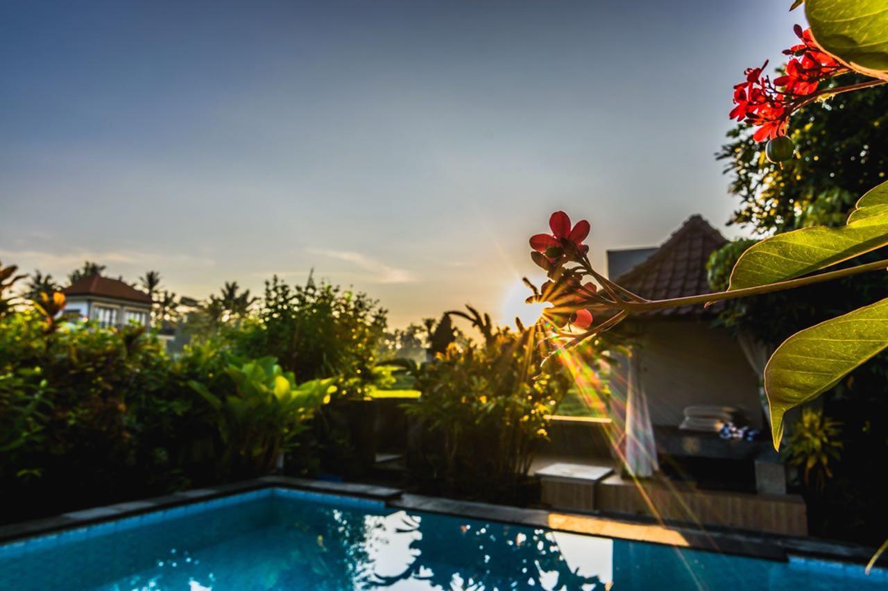 Pondok Anastasia Ubud Exteriör bild